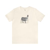 Llovely Llama Tee 