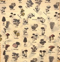 BEESWAX WRAPS 3-pack Mushroom-Lover