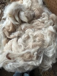 Llama Fiber by the pound