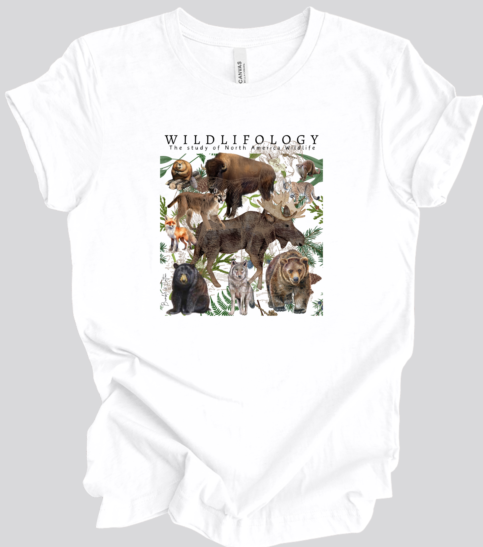 WILDLIFOLOGY Tee 