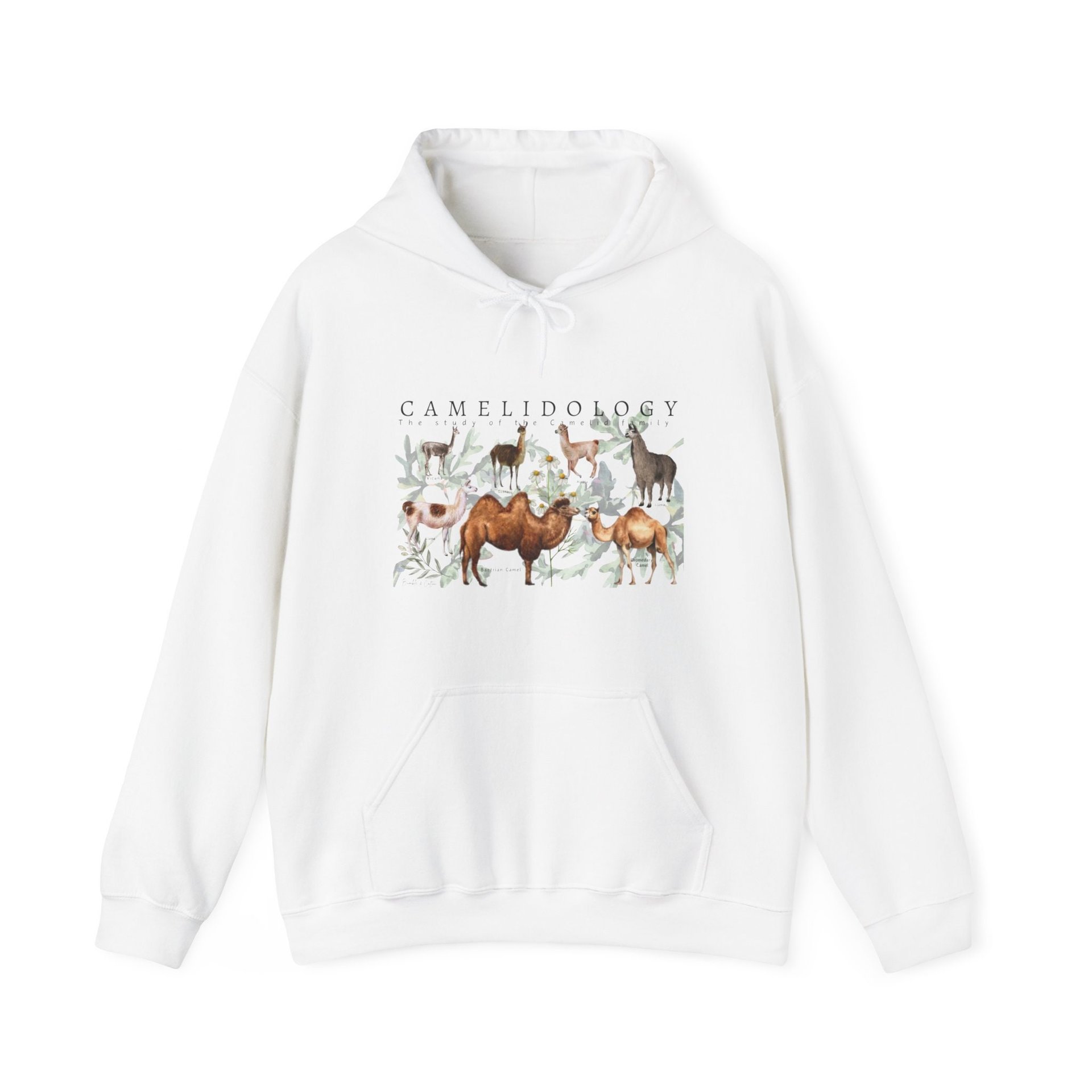 CAMELIDOLOGY Hoodie || CAMELID Hoodie || Llama Alpaca Camel Hooded Sweatshirt Gender Neutral Gift