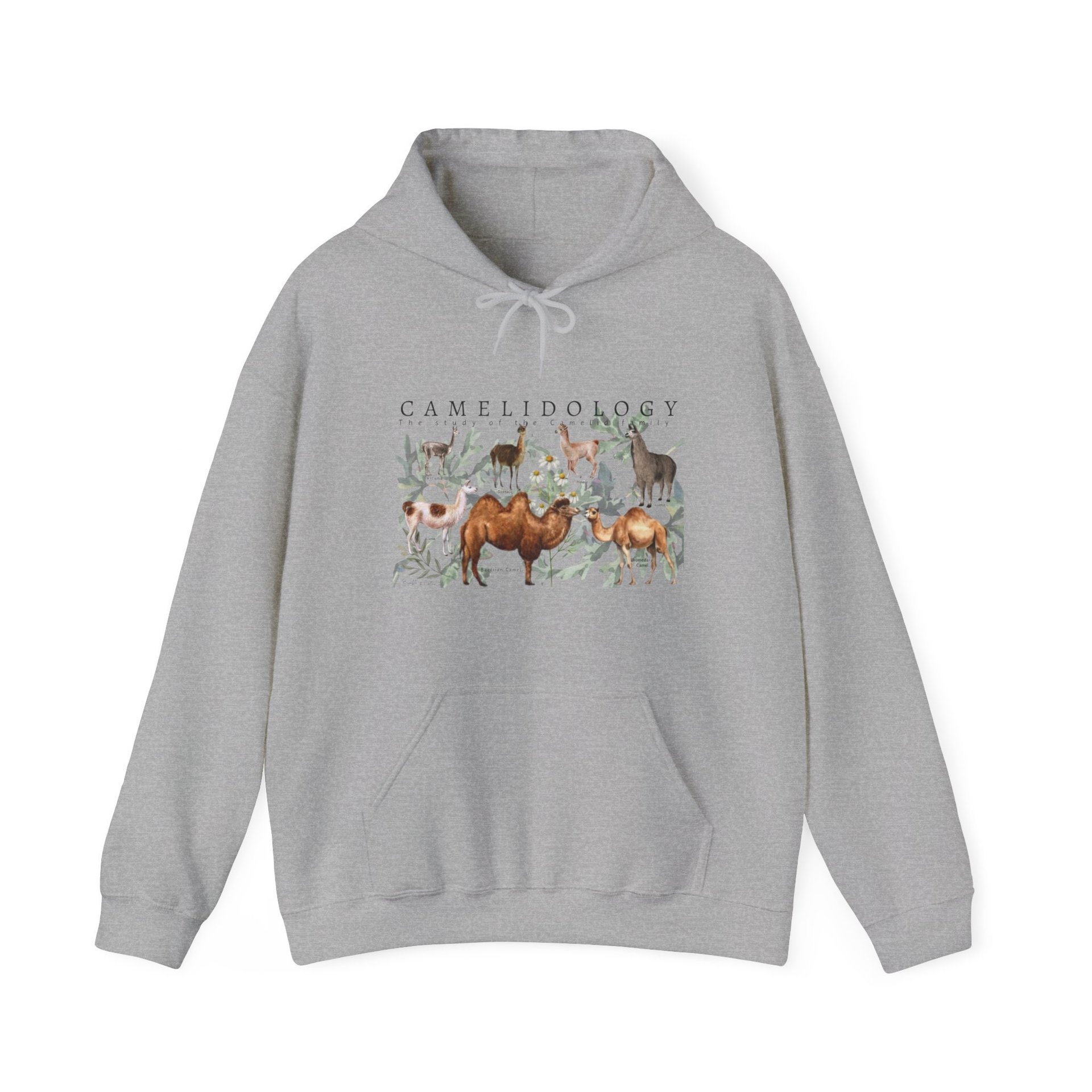 CAMELIDOLOGY Hoodie || CAMELID Hoodie || Llama Alpaca Camel Hooded Sweatshirt Gender Neutral Gift