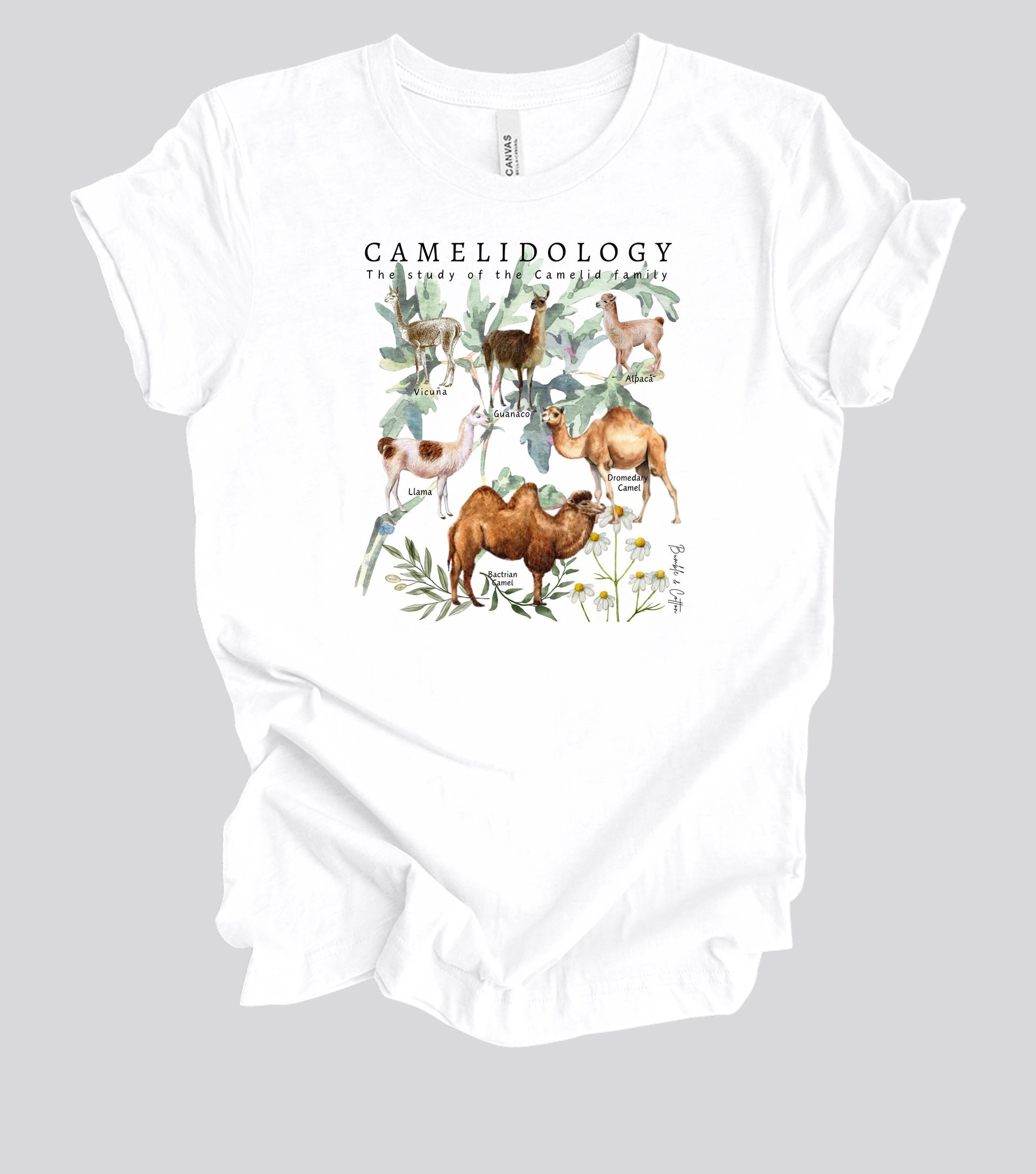 CAMELIDOLOGY Tee Shirt || Camelidology T-shirt || Gender Neutral Gift T-Shirt || Bactrian Camel Llama Guanaco Alpaca Vicuna