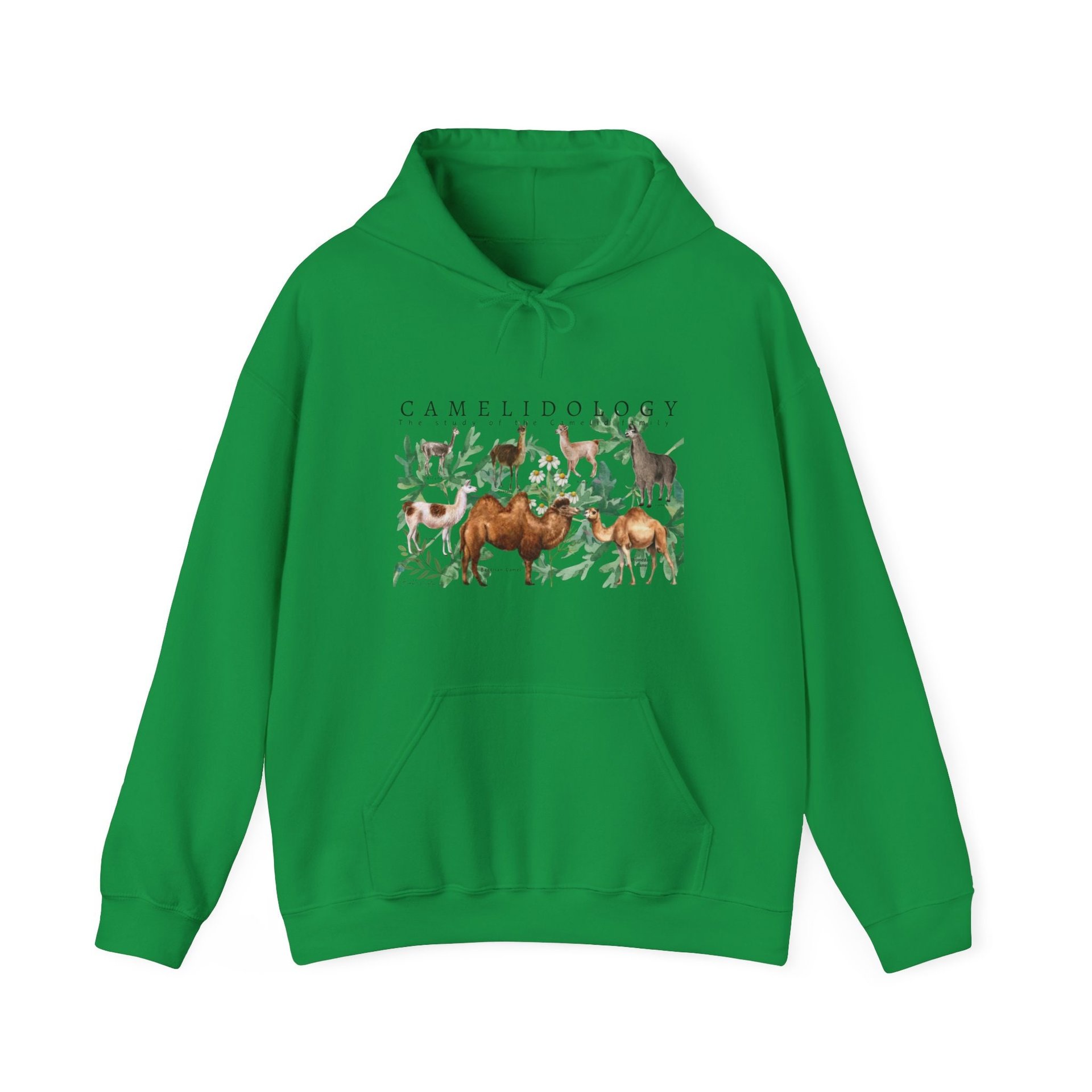 CAMELIDOLOGY Hoodie || CAMELID Hoodie || Llama Alpaca Camel Hooded Sweatshirt Gender Neutral Gift